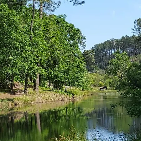 Bed & Breakfast Palika 4*