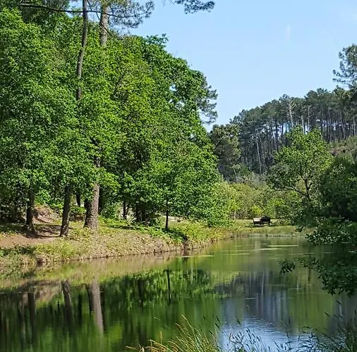 Frühstückspension Palika 4*