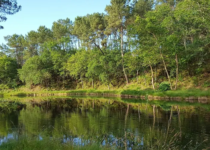 Palika Frühstückspension