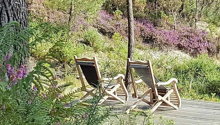 Frühstückspension Palika Castets